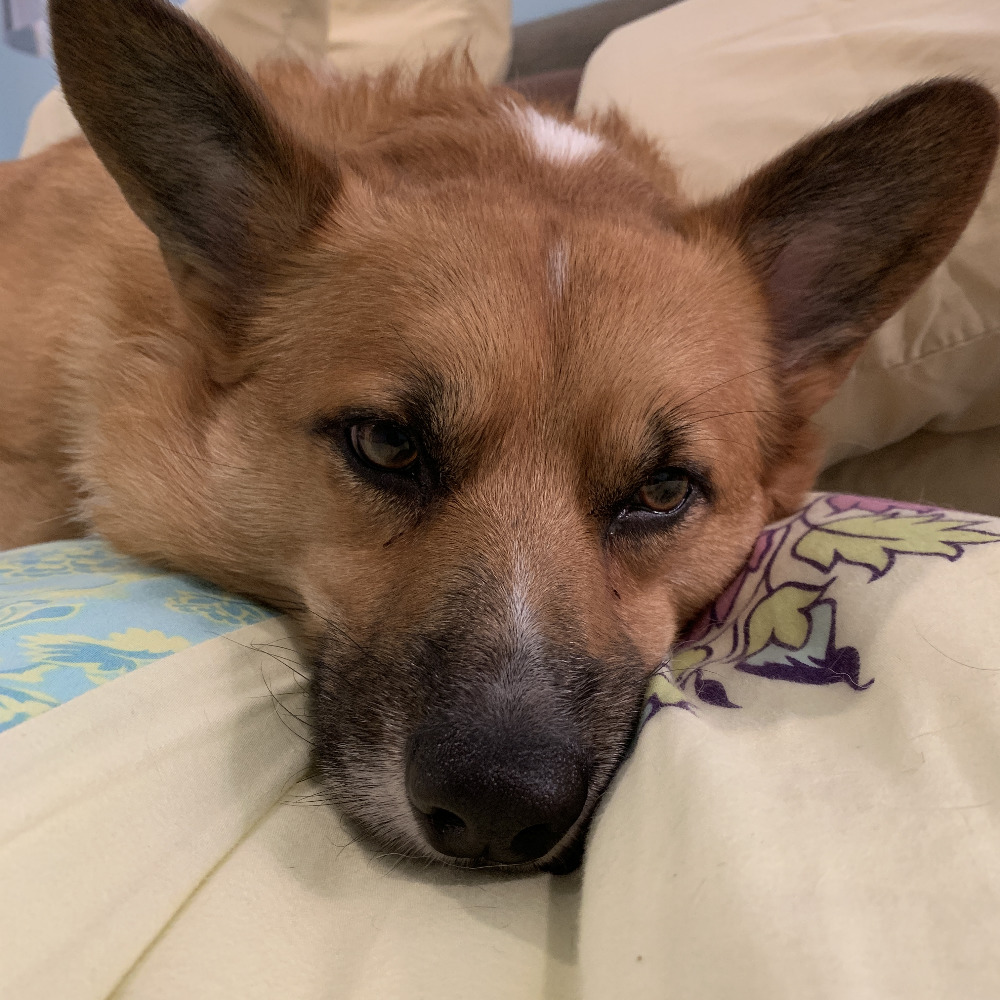 Meet your Posher, Jo